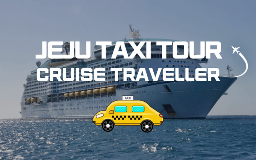 Jeju Cruise Shore Excursion Private Taxi Tour Car Charter - Choosing the right vehicle for your group