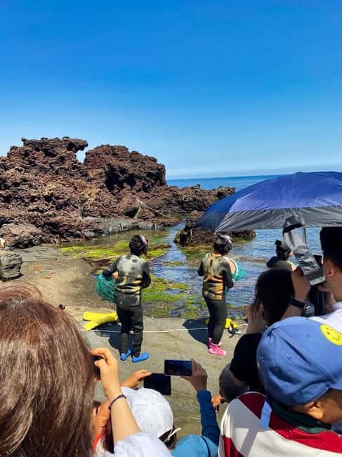 Jeju: Customized Shore Excursions For Up To 7 People - A private Jeju day built around your interests