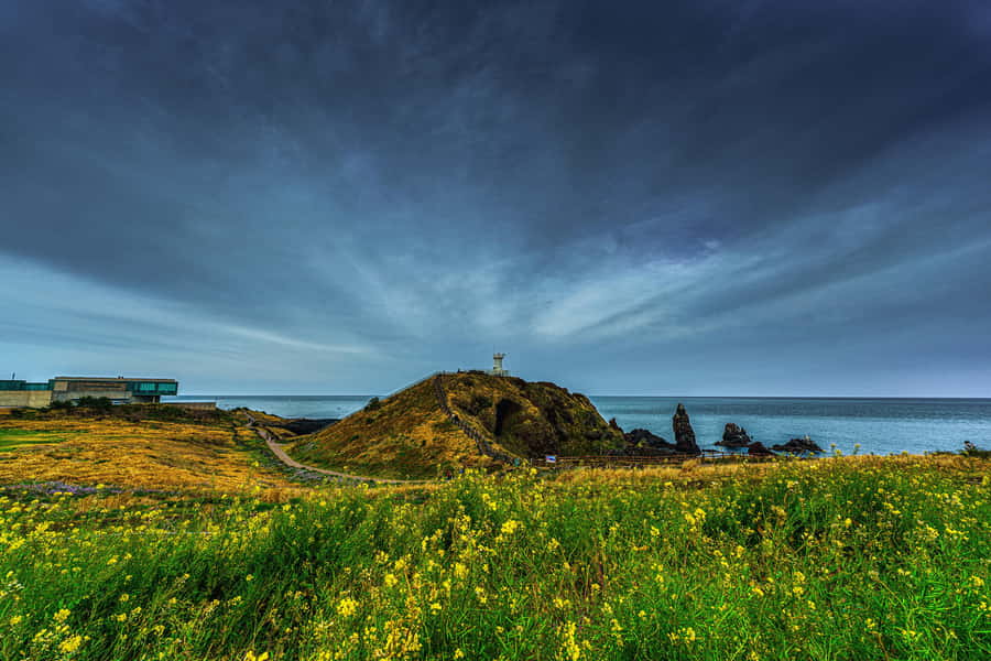Jeju Island: Full Day Tour for Cruise Ship Passengers - Who should book this Jeju shore excursion?