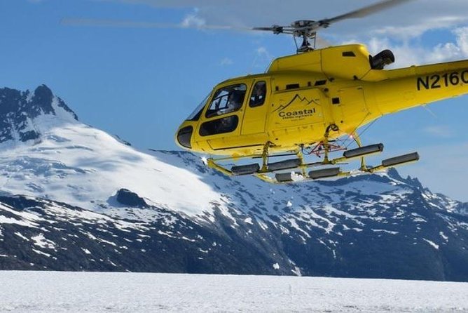 Juneau Shore Excursion: Helicopter Tour and Guided Icefield Walk - The return flight over the icefield