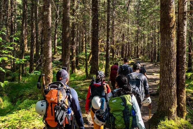 Juneau Shore Excursion: Mendenhall Glacier Guided Hike - Key points to know before booking