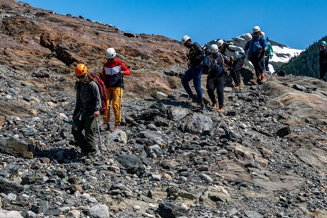 Juneau Shore Excursion: Mendenhall Glacier Guided Hike - Who should book this hike