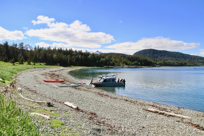 Juneau Shore Excursion: Paddle with Whales Kayak Adventure - Gear, food, and the real value of $494.32