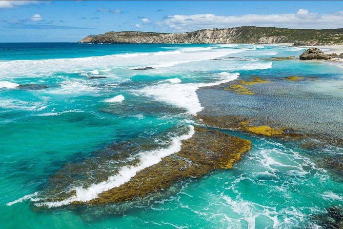 Kangaroo Island Shore Excursion Tasting Tour - For Cruise Ship Passengers Only - What kind of day is this?