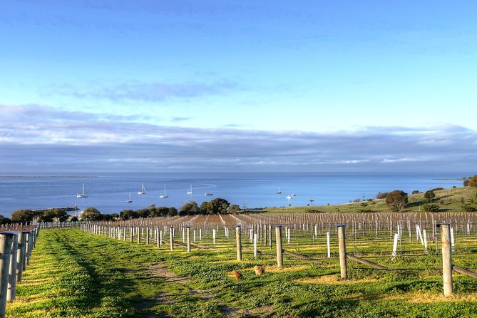 Kangaroo Island Shore Excursion Tasting Tour - For Cruise Ship Passengers Only - Starting at Penneshaw with cruise timing in mind