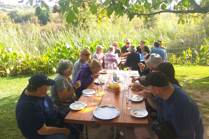 Katakolon Small Group Tour: Olympic site, Honey/Olive Oil Tasting - From Katakolon port to ancient Olympia