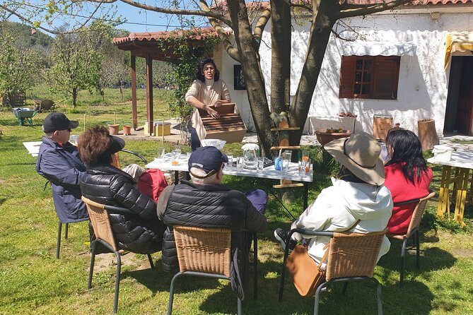 Katakolon Small Group Tour: Olympic site, Honey/Olive Oil Tasting - Timing, pickup, and cancellation advice
