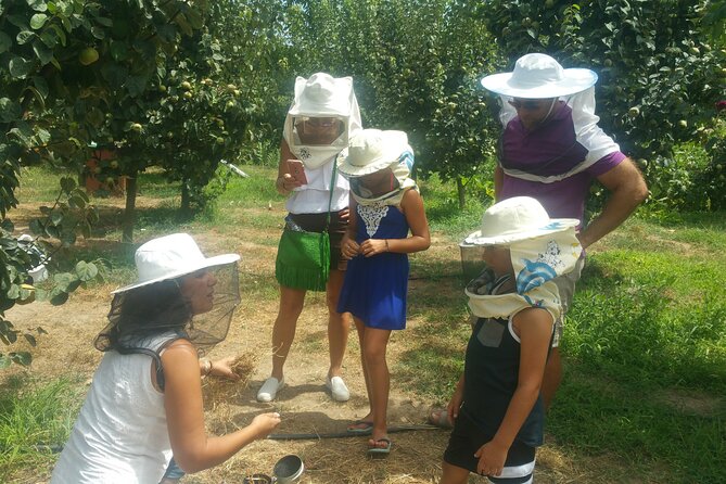 Katakolon Small Group Tour: Olympic site, Honey/Olive Oil Tasting - My verdict: book it for the mix, not just the ruins