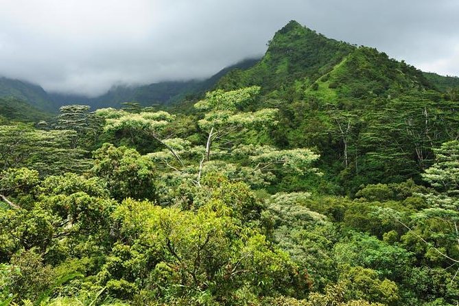 Kauai Cruise Ship Excursion: Wailua River & Fern Grotto - Hawaiian music and hula make the tour more than a boat ride