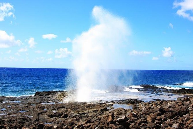 Kauai Cruise Ship Shore Excursion Journey to Waimea Canyon - Who should book this Waimea Canyon tour?