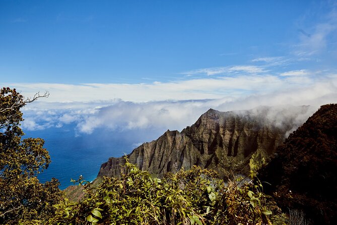 Kauai Full Day Tour with Cruise ships or Kauai Airport Pickup - What this Kauai day tour is really designed to do