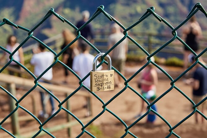 Kauai Full Day Tour with Cruise ships or Kauai Airport Pickup - Kalalau Lookout, the day’s best view