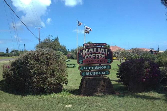 Kauai Shore Excursion - Waimea Canyon Adventure Tour - Nawiliwili - Hanapepe Valley gives you the first canyon preview