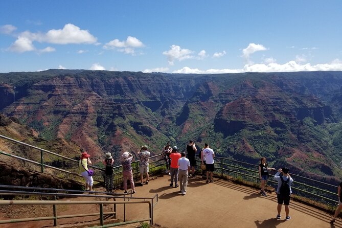 Kauai Shore Excursion - Waimea Canyon Adventure Tour - Nawiliwili - The Swinging Bridge adds a little local character