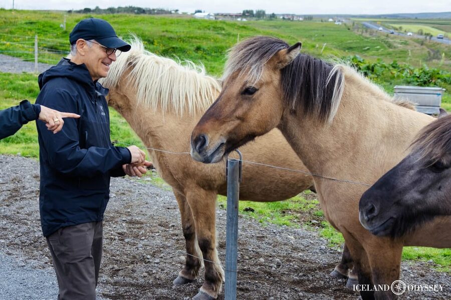 Keflavik: Golden Circle Private Tour with Airport Pickup - Key points at a glance