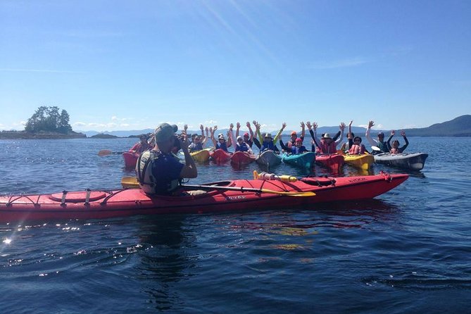 Ketchikan Shore Excursion: Eagle Island Sea Kayaking - Is $115 a good value?