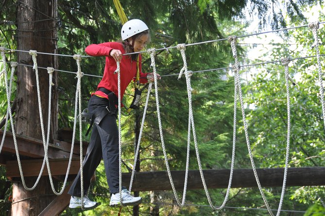 Ketchikan Shore Excursion: Rainforest Canopy Ropes and Zipline Adventure Park - A three-hour Ketchikan adventure in the trees