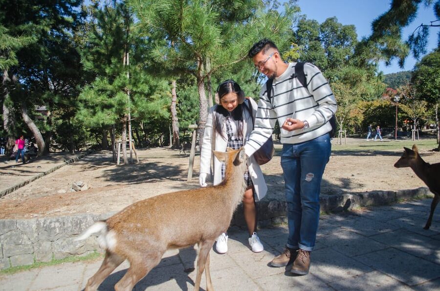 Kobe: Private Walking Shore Excursion- Kyoto/Osaka/Nara/Kobe - What the $141 price really covers