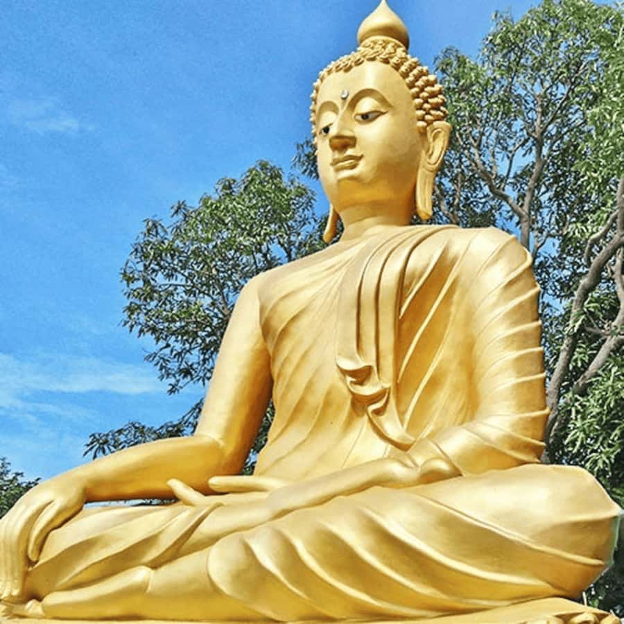Koh Samui: Island Half Day Shore Excursion - Key points at a glance