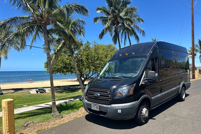 Kona Cruise Ship Excursion Hapuna Beach Day & NHS - Starting at Kailua Pier at 10:00 a.m.