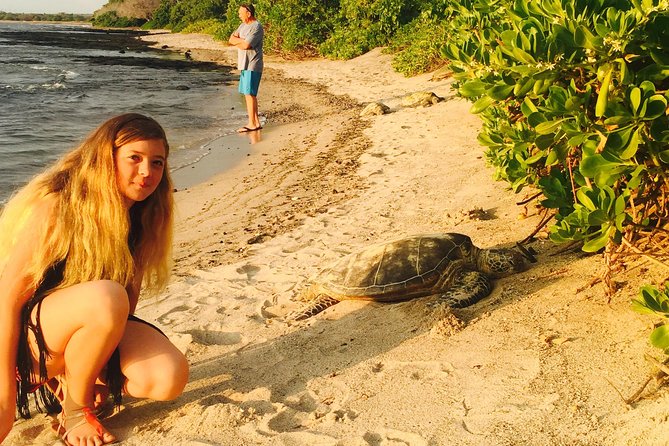 Kona Shore Excursion: Sea Turtles, Historic Kona & Coffee - A local lunch stop in Honaunau