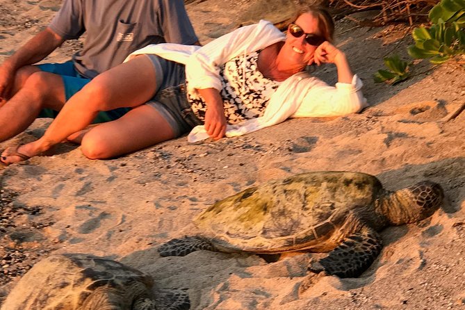 Kona Shore Excursion: Sea Turtles, Historic Kona & Coffee - The Honokohau turtle trail and fish trap