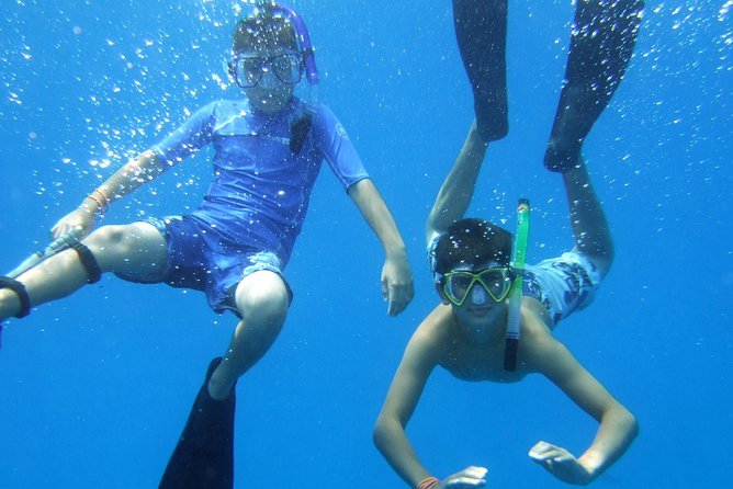 Kona Shore Excursion: Wild Dolphin Reefs Snorkel and Sea Caves - Crew Care Makes a Difference