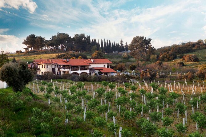 Kusadasi Shore Excursions Ephesus and Wine Tasting Tours - Şirince and Its Fruit Wines