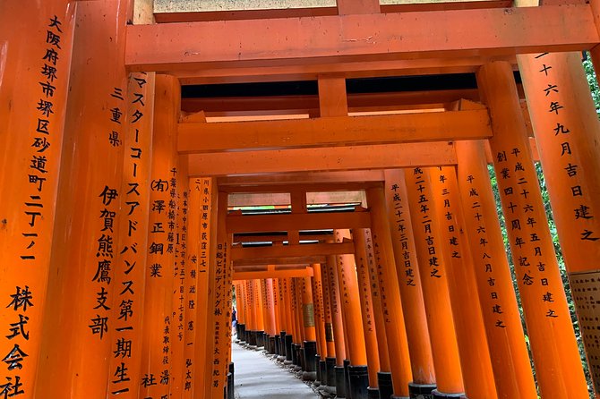 Kyoto private tour (Shore excursion available from Osaka or Kobe port) - The guide makes the private format worthwhile