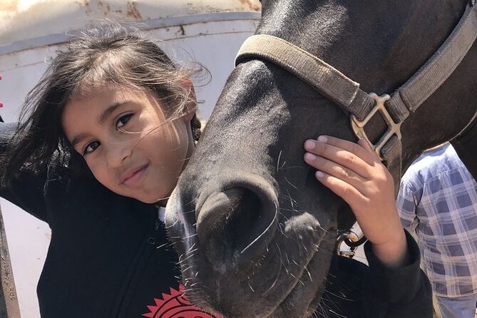 La Bufadora, Markets & Horseback Beach Ride Shore Excursion - Family suitability and physical demands