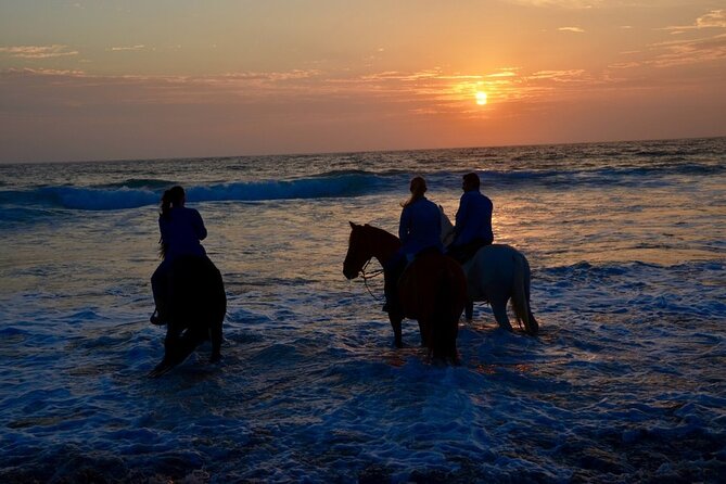 La Bufadora, Markets & Horseback Beach Ride Shore Excursion - Price, timing, and cancellation rules