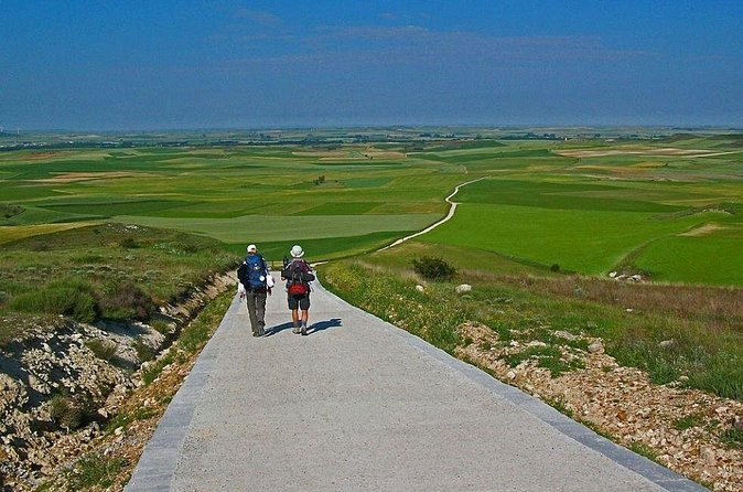 La Coruna Santiago de Compostela Shore Excursion - Who should book this excursion?
