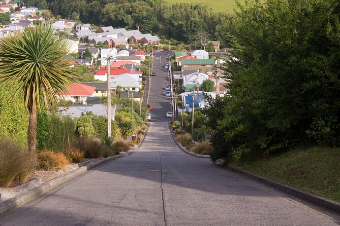 Larnach Castle & Dunedin City Highlights Tour (Shore Excursion) - Key points at a glance