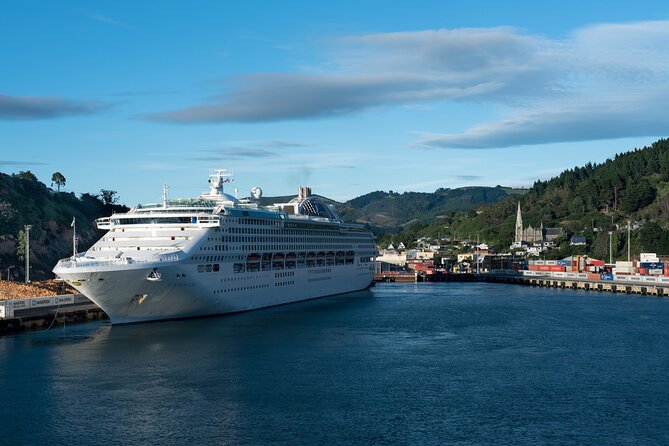 Larnach Castle & Dunedin City Highlights Tour (Shore Excursion) - The Octagon: one hour for lunch and shopping