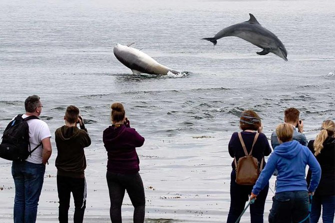 Legendary Tour of the Black Isle from Inverness or Invergordon - Six reasons this Black Isle tour earns attention