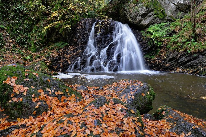 Legendary Tour of the Black Isle from Inverness or Invergordon - Hugh Miller House: science, faith, and a difficult life