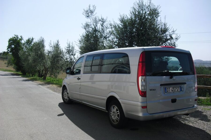 Livorno Port, Pisa, Florence: Full-Day Shore Excursion - Meeting your driver at Livorno Port