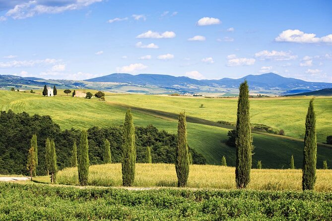 Livorno shore excursion: Bolgheri and Supertuscan private tour - Castagneto Carducci: a bonus, not the main event