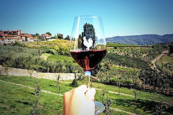 Livorno Shore Excursion: Chianti and Tuscany Countryside Private Wine Tour - The private guide can shape the whole day