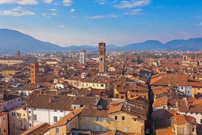 Livorno Shore Excursion: Pisa, Lucca and wine experience Private Day Trip - Why this private Livorno outing works well
