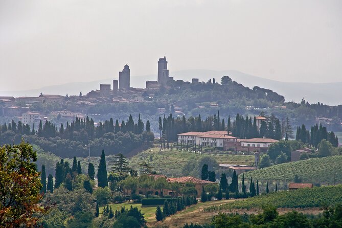 Livorno Shore Excursion: Private Day Trip to Siena and San Gimignano - Vehicle comfort and group size