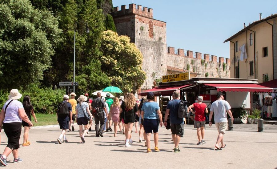 Livorno: Shore Excursion to Pisa and Livorno Bus Tour - What $42 gets you