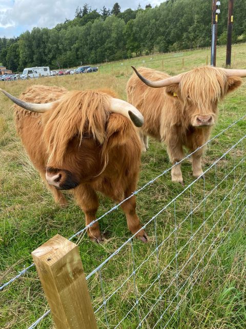 LOCH NESS, INVERNESS, CLAVA CAIRNS & MORE FROM INVERGORDON - Culloden Battlefield puts the history into focus