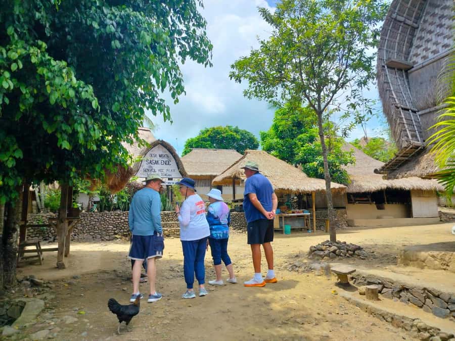 Lombok: Cultural Day Tour & Beach Pickup Cruise Port/Hotel - Sade and Ende: traditional Sasak homes
