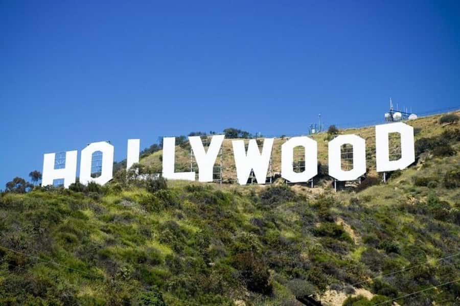 Los Angeles: City Highlights Tour From Cruise Port - Exposition Park and the Coliseum