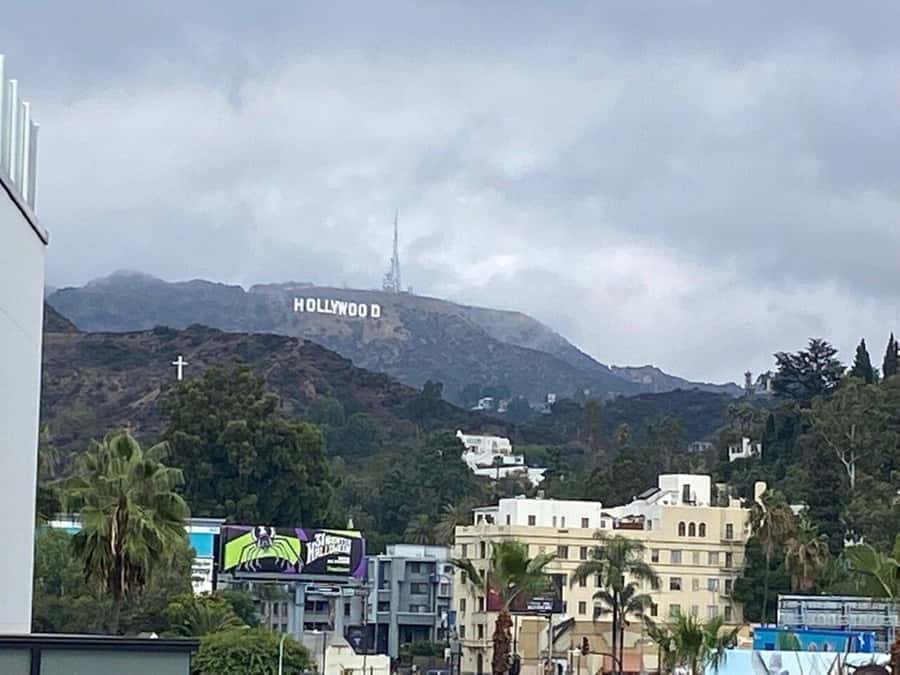 Los Angeles: City Highlights Tour From Cruise Port - Santa Monica and the coast