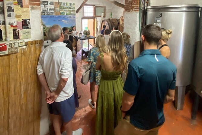 Lucca tour and Pisa Tower + WineTasting by van from Livorno Port - Pisa and the Leaning Tower Photo Stop