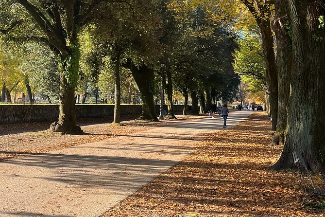 Lucca tour and Pisa Tower + WineTasting by van from Livorno Port - What the Guides Add