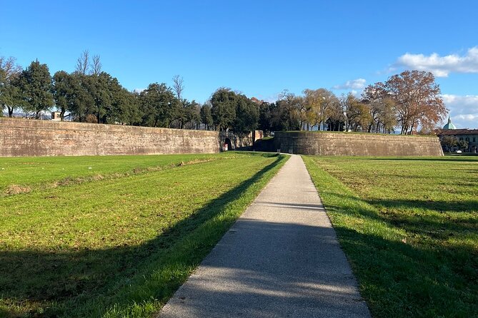 Lucca tour and Pisa Tower + WineTasting by van from Livorno Port - Who Will Enjoy This Day Most?