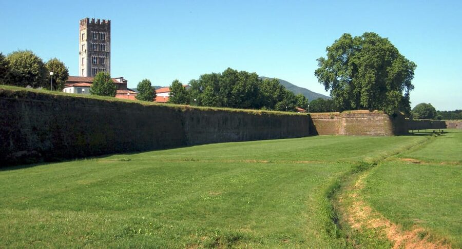 Lucca Tour & Pisa Tower + Wine Tasting by van from Livorno - Why this day works well from Livorno